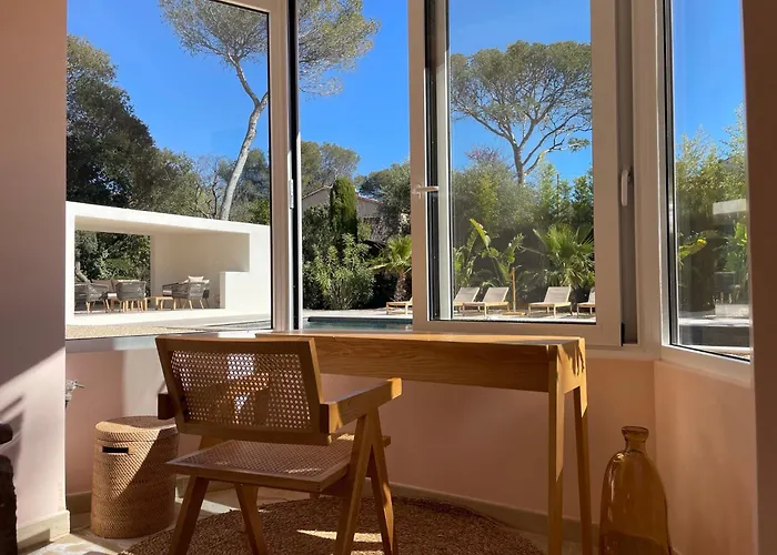 Aloes - Proche Des Plages